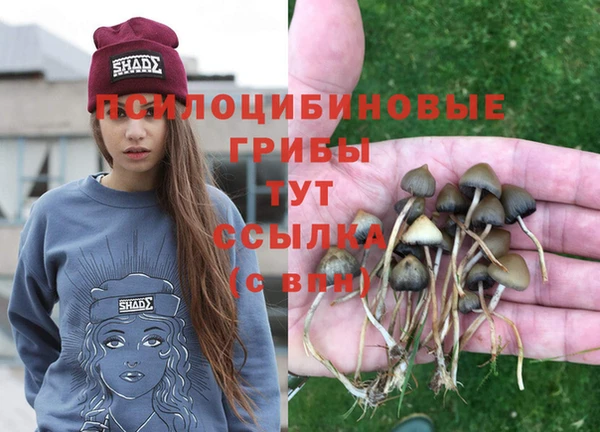 гидра Волосово