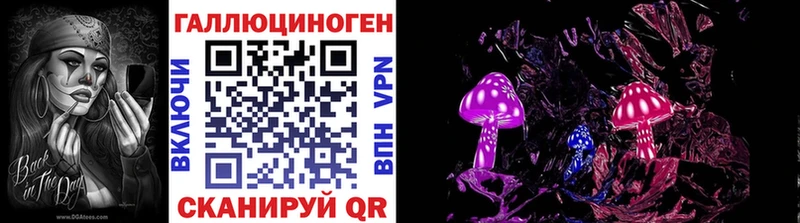 Купить закладки  Тогучин  Псилоцибиновые грибы Psilocybe 